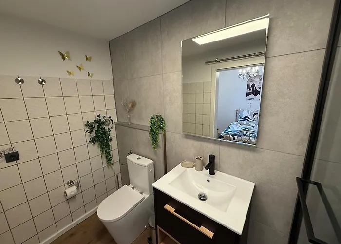 Harz-getaway - Sauna & Nature Lejlighed